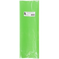 Bibuła gładka zielona jasna gładka zielona 700 mm x 500 mm (22)