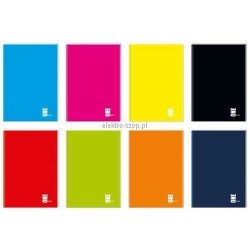 Brulion Interdruk One Color A5 96k. 70 g krata 148 mm x 210 mm (BRA5#OC)