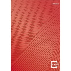 Brulion Top 2000 color A4 96k. 70 g krata