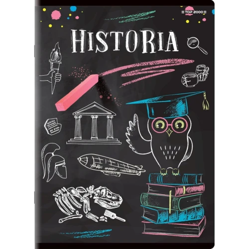 Brulion Top 2000 tematyczny historia A5 80k. 70 g krata (400132312)