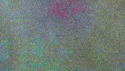 Okładka na dokumenty Panta Plast legitymacja szkolna 85 mm x 115 mm (0300-0007-99)