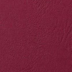 Karton do bindowania Argo delta A4 - czerwony 250 g (407041)