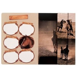Teczka kartonowa na gumkę Starpak horses A4 kolor: mix (298952)