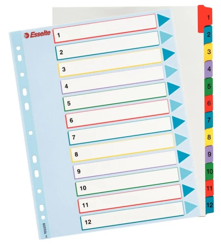 Przekładka numeryczna Esselte MYLAR A4 mix kolorów 160g 12k 1-12 (100209)