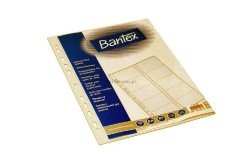 Koszulka na 20 wizytówek A4 100 mic (2140)