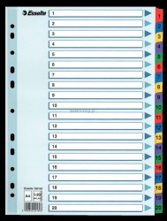 Przekładka numeryczna Esselte Mylar kartonowa A4 mix kolorów 160g 20k 1-20 (100163)