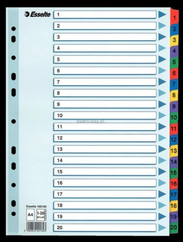 Przekładka numeryczna Esselte Mylar kartonowa A4 mix kolorów 160g 20k 1-20 (100163)