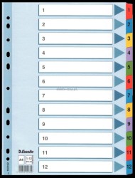Przekładka numeryczna Esselte Mylar kartonowe A4 mix kolorów 160g 12k 1-12 (100162)