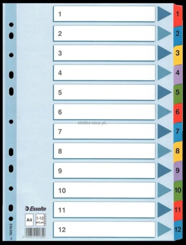 Przekładka numeryczna Esselte Mylar kartonowe A4 mix kolorów 160g 12k 1-12 (100162)