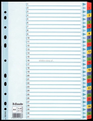 Przekładka numeryczna Esselte Mylar kartonowe A4 mix kolorów 160g 31k 1-31 (100164)