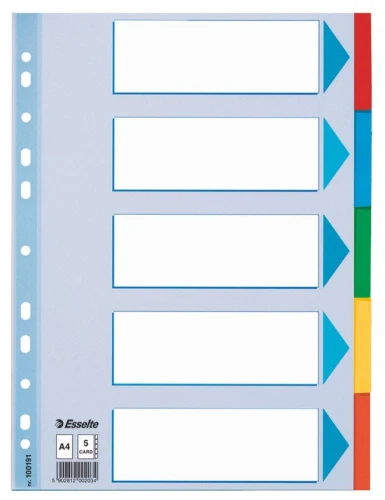Przekładka czysta Esselte A4 mix kolorów 160g 5k 225 mm x 297 mm (100191)
