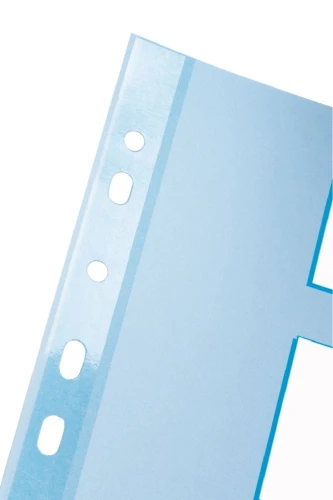 Przekładka czysta Esselte A4 mix kolorów 160g 5k 225 mm x 297 mm (100191)