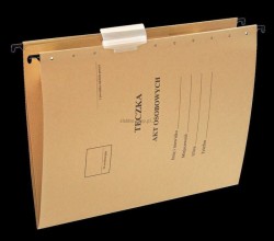 Teczka zawieszkowa Esselte A4 - siarczanowy 230 g (15212)