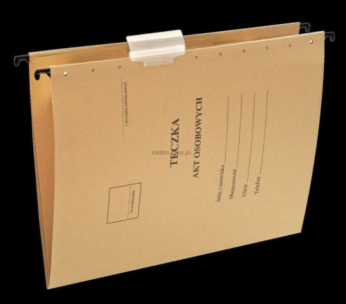 Teczka zawieszkowa Esselte A4 - siarczanowy 230 g (15212)