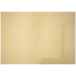 Teczka ofertowa Bigo ecru A4 kolor: ecri (1037)