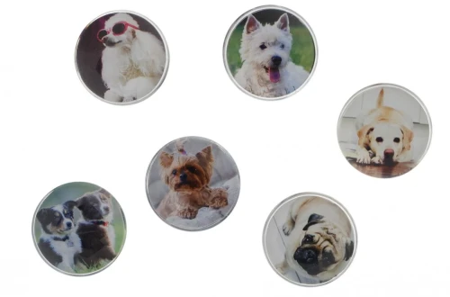 Magnes Fun&amp;Joy PIES okrągły - mix śr. 30 mm