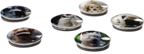 Magnes Fun&amp;Joy PIES okrągły - mix śr. 30 mm