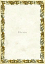 Dyplom Galeria Papieru celtic A4 170 g (219417)