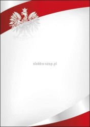 Dyplom Galeria Papieru Symbol N A4 170 g (216617)