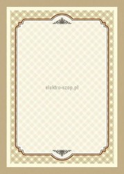 Dyplom Galeria Papieru Retro A4 170 g (217917)