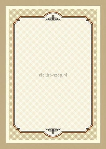 Dyplom Galeria Papieru Retro A4 170 g (217917)