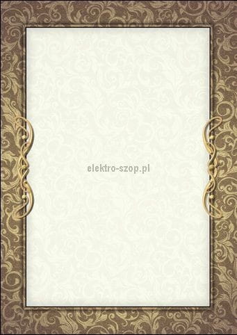 Dyplom Galeria Papieru Arras A4 170 g (216217)