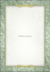 Dyplom Galeria Papieru Arras A4 170 g (216317)