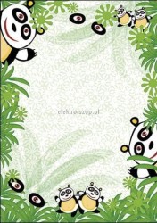 Dyplom Galeria Papieru Panda A4 170 g (214717)