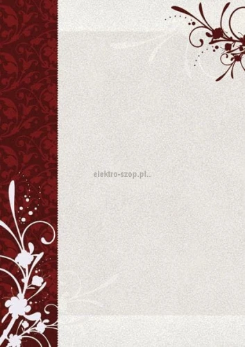 Dyplom Galeria Papieru finezja A4 170 g (211817)