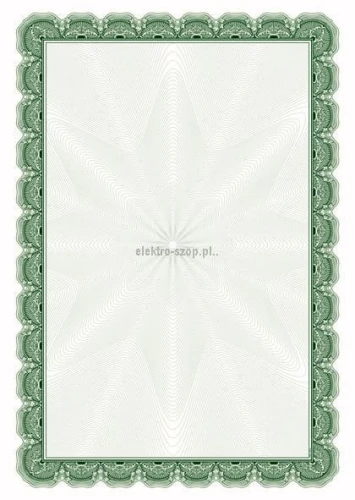 Dyplom Galeria Papieru A4 170 g (210417)