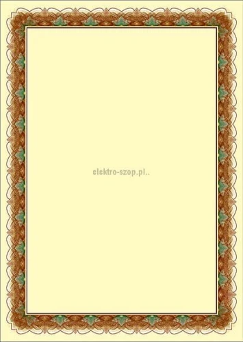 Dyplom Galeria Papieru złoto A4 170 g (210217)