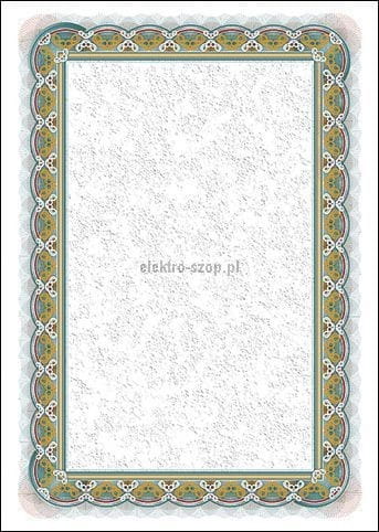 Dyplom Galeria Papieru Srebro A4 250 g (210125)