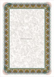 Dyplom Galeria Papieru srebro A4 170 g (210117)