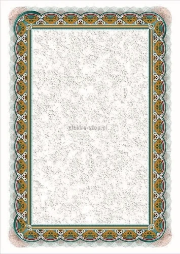 Dyplom Galeria Papieru srebro A4 170 g (210117)