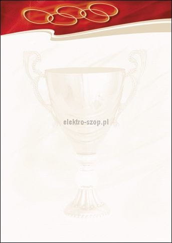 Dyplom Galeria Papieru Sport N A4 170 g (212317)