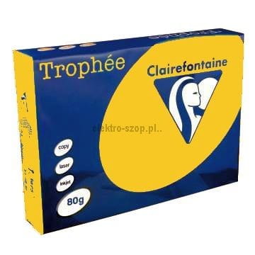 Papier kolorowy Trophee kolorowy A4 - słonecznikowy 80 g (xca41978)