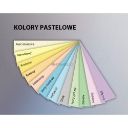 Papier kolorowy Emerson kolorowy 4002 A4 - kremowy 80 g (xem408002)