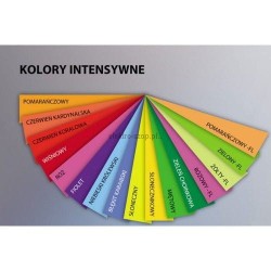 Papier kolorowy Trophee A4 - czerwony kardynalski 160 g (xca41004)