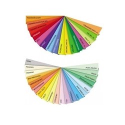 Papier kolorowy Trophee A4 - czerwony kardynalski 160 g (xca41004)