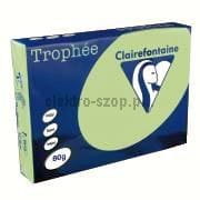 Papier kolorowy Trophee kolorowy A4 - zielony 80 g (xca41975)
