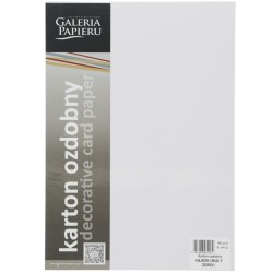 Papier ozdobny (wizytówkowy) Galeria Papieru gładki biały A4 - biały 160 g (202821)