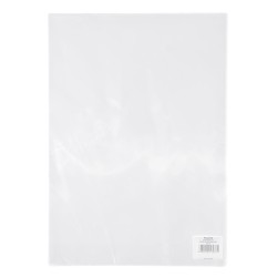 Torba prezentowa torebka folia 250 mm x 350 mm (25/35)