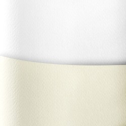 Papier ozdobny (wizytówkowy) Galeria Papieru savanna biały 20 arkuszy A4 - biały 200 g (204801)