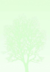 Papier ozdobny (wizytówkowy) Galeria Papieru A4 100 g (230410)