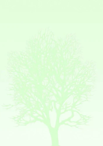 Papier ozdobny (wizytówkowy) Galeria Papieru A4 100 g (230410)