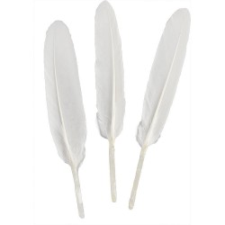 Piórka Titanum Craft-Fun Series białe 50 szt (lotki)