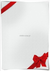 Dyplom Galeria Papieru Verso C A4 170 g (213117)