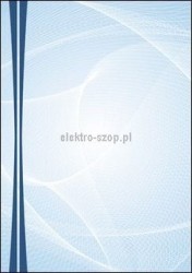 Dyplom Galeria Papieru Graphic A4 170 g (217217)