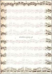 Dyplom Galeria Papieru Nuty A4 170 g (213317)