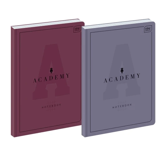 Brulion Interdruk ACADEMY a4 96k. 90 g krata (5902277299284)